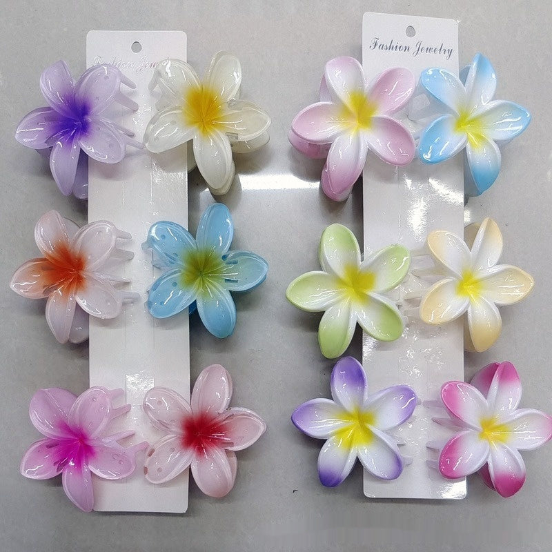 Colorful Flower hair clip